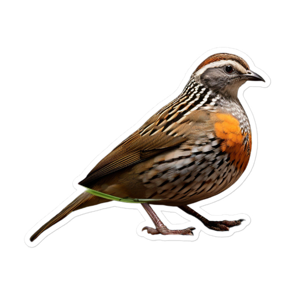 Quail Sticker - Stickerfy.ai