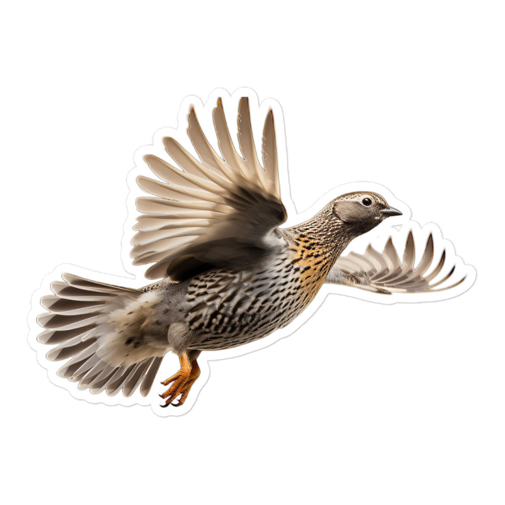 Quail Sticker - Stickerfy.ai