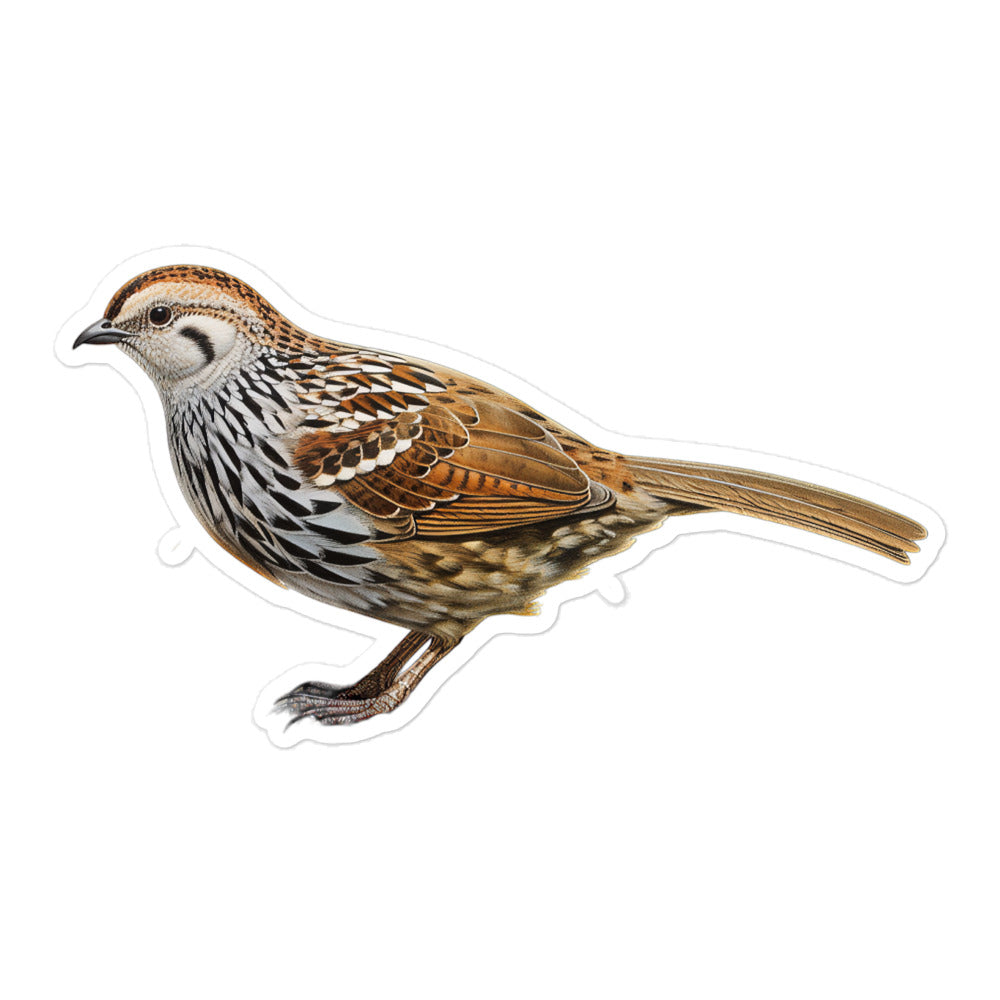 Quail Sticker - Stickerfy.ai