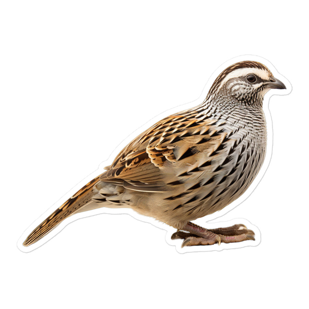 Quail Sticker - Stickerfy.ai