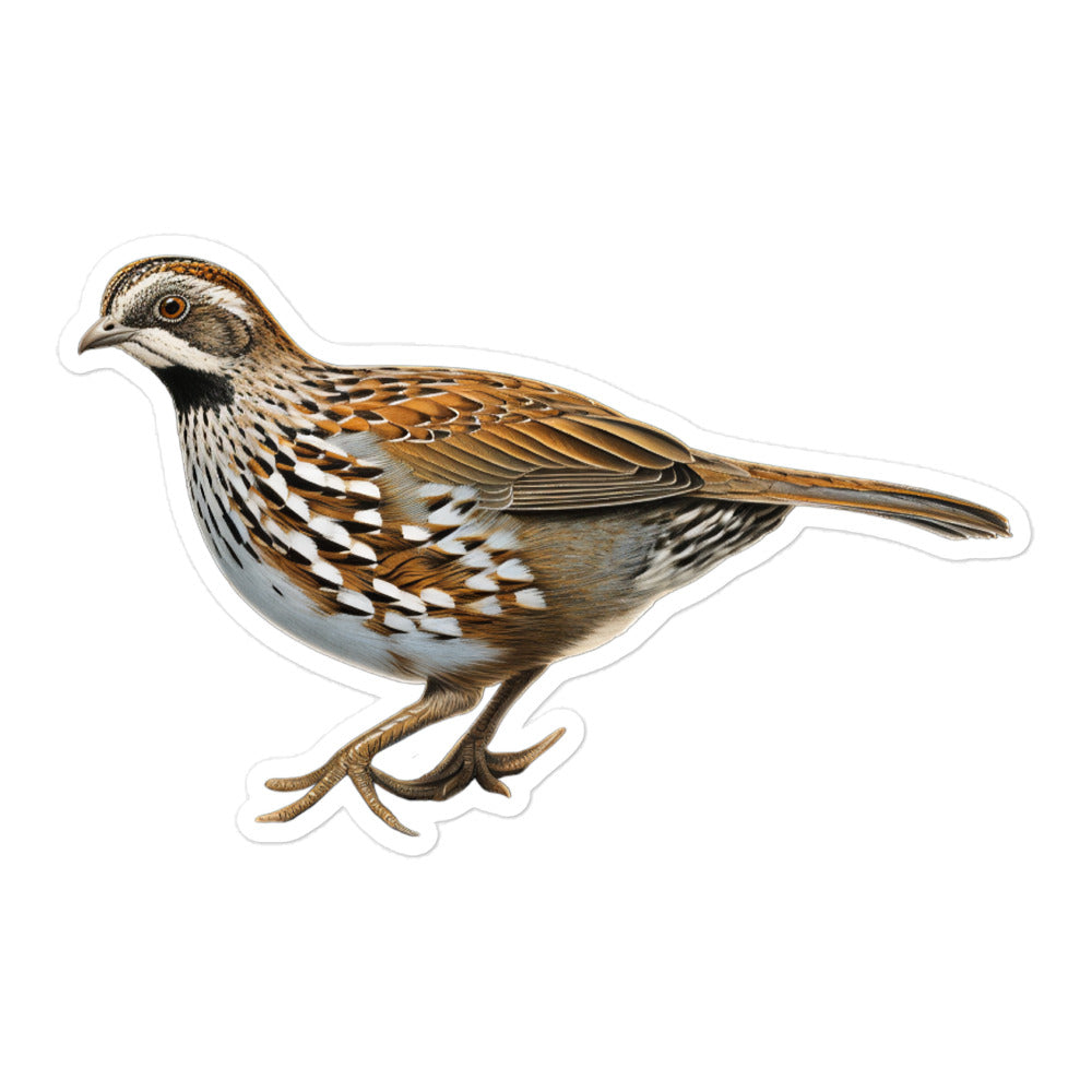 Quail Sticker - Stickerfy.ai