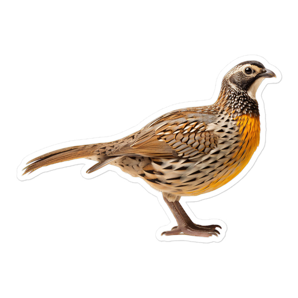 Quail Sticker - Stickerfy.ai