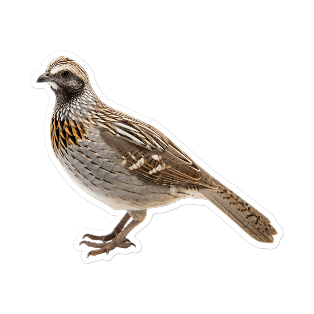 Quail Sticker - Stickerfy.ai