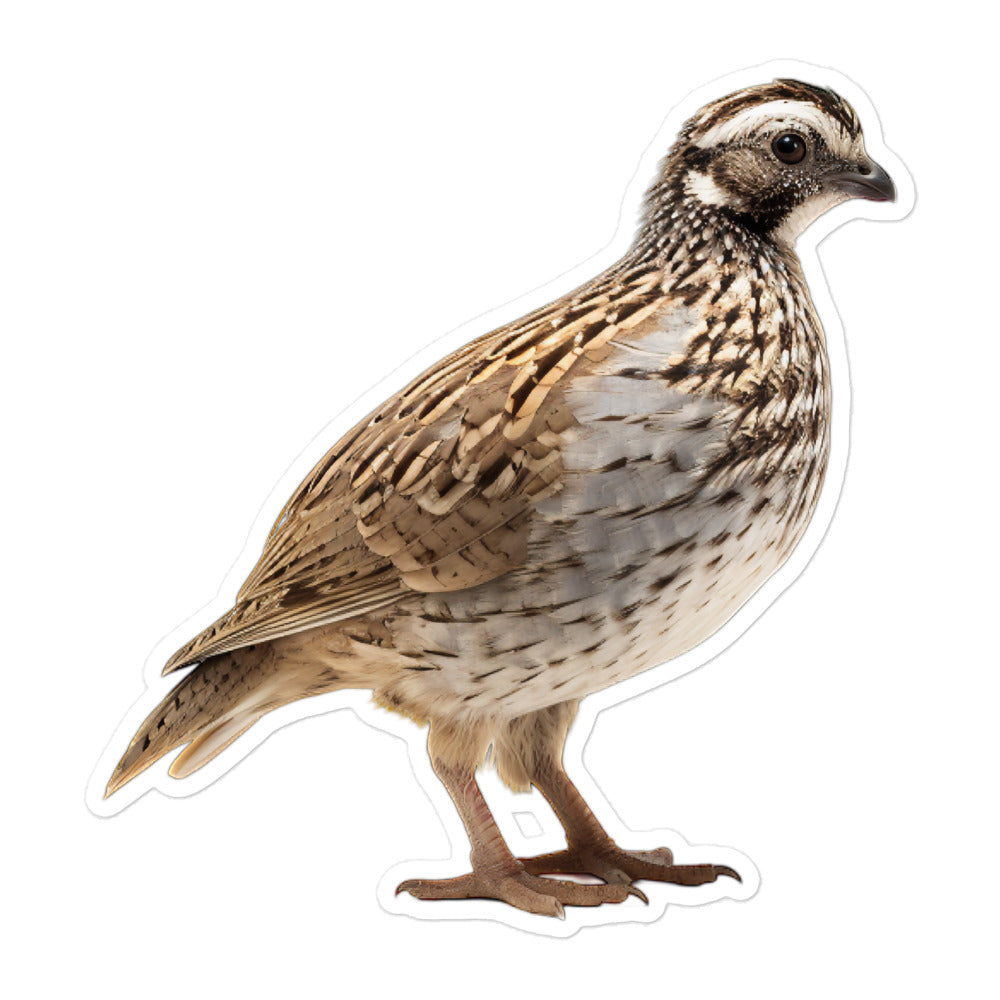 Quail Sticker - Stickerfy.ai