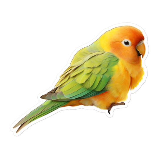 Fischer's Lovebird Sticker - Stickerfy.ai