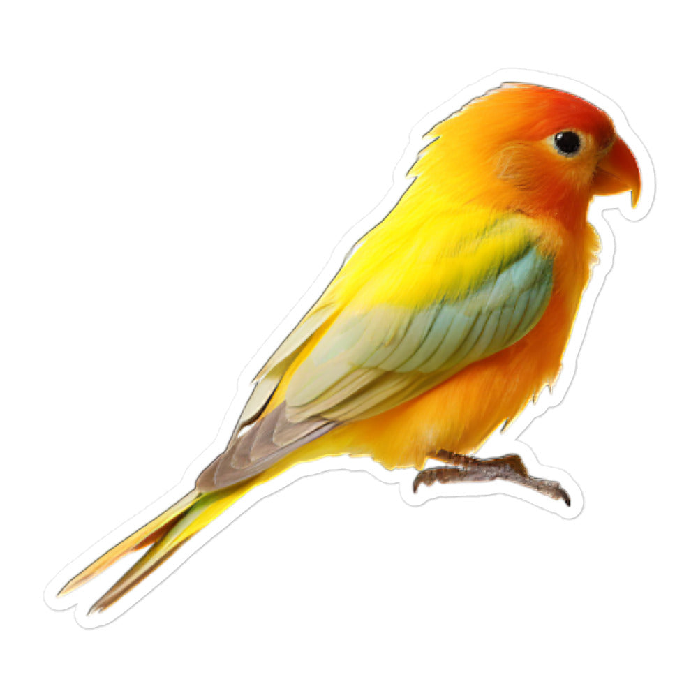 Fischer's Lovebird Sticker - Stickerfy.ai