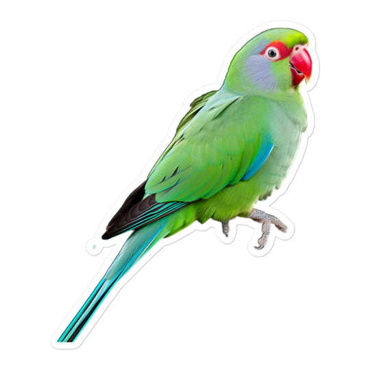 Alexandrine Parakeet Sticker - Stickerfy.ai