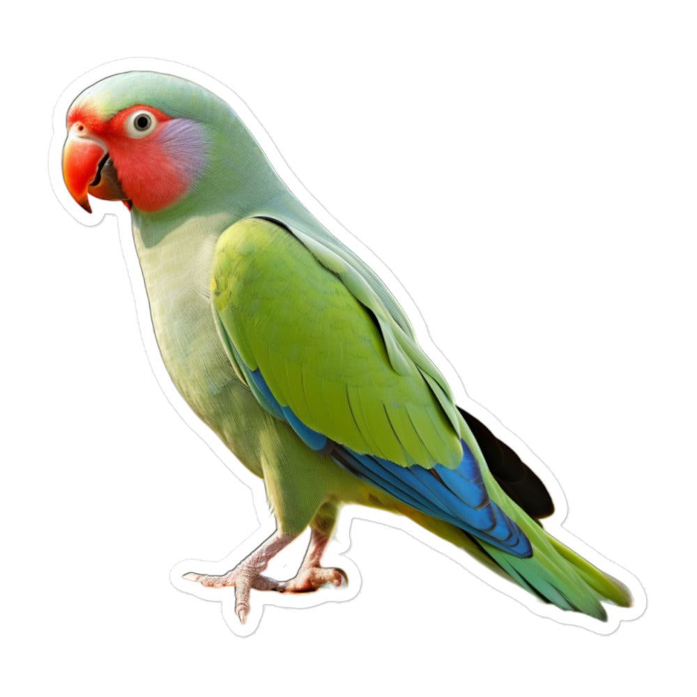 Alexandrine Parakeet Sticker - Stickerfy.ai