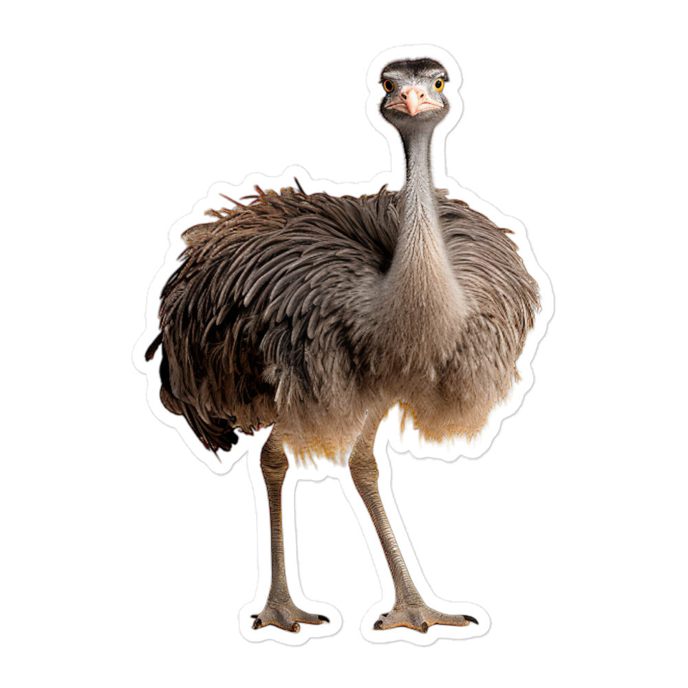 Ostrich Sticker - Stickerfy.ai