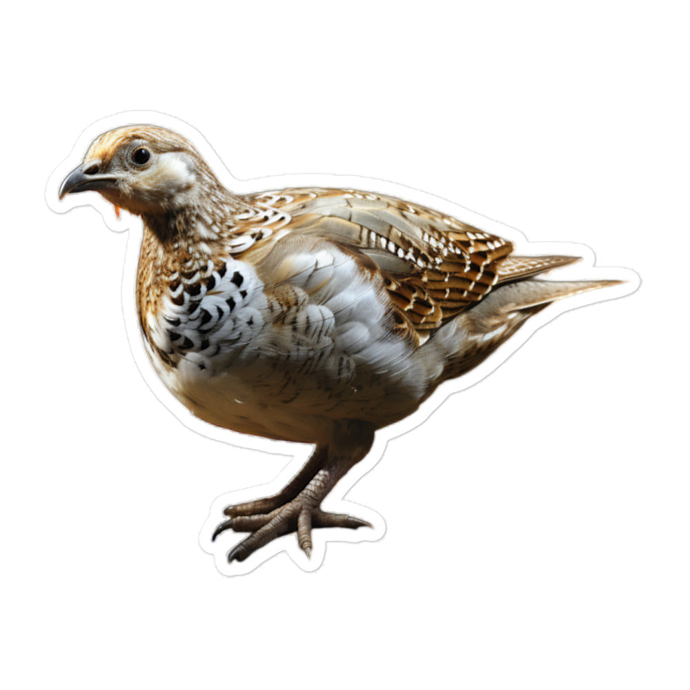 Grouse Sticker - Stickerfy.ai