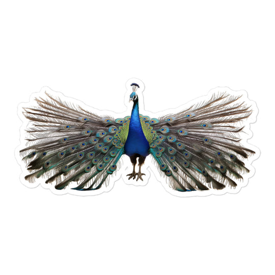 Peacock Sticker - Stickerfy.ai