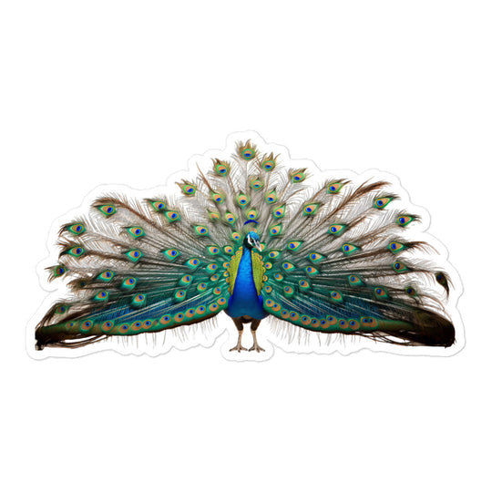 Peacock Sticker - Stickerfy.ai