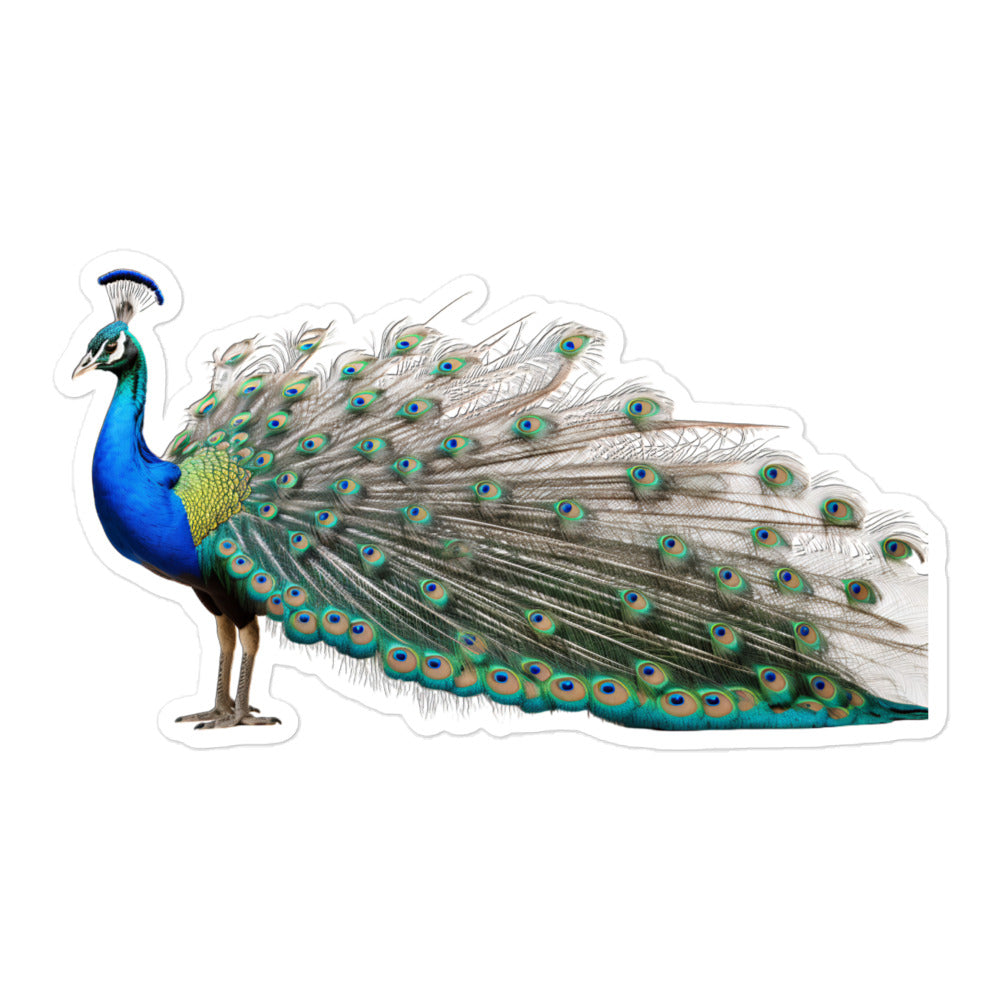 Peacock Sticker - Stickerfy.ai