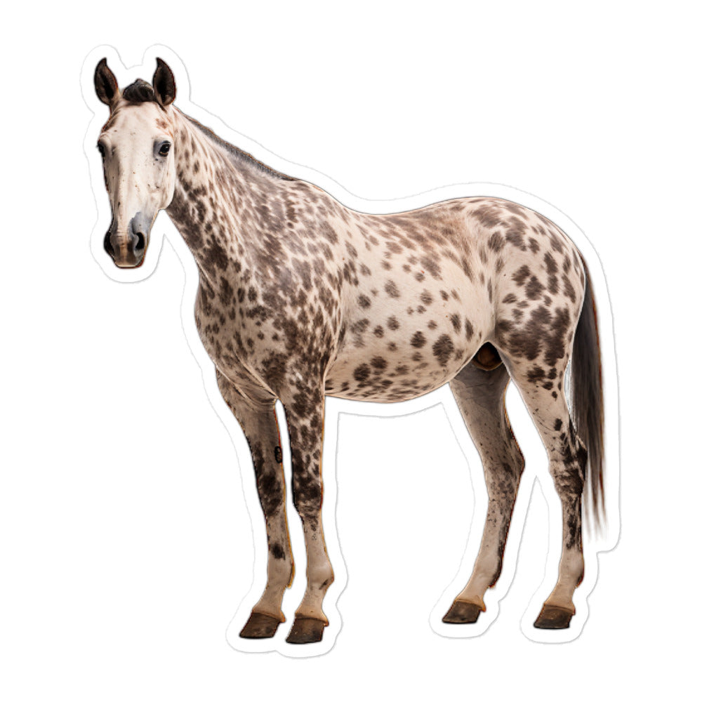 Appaloosa Horse Sticker - Stickerfy.ai