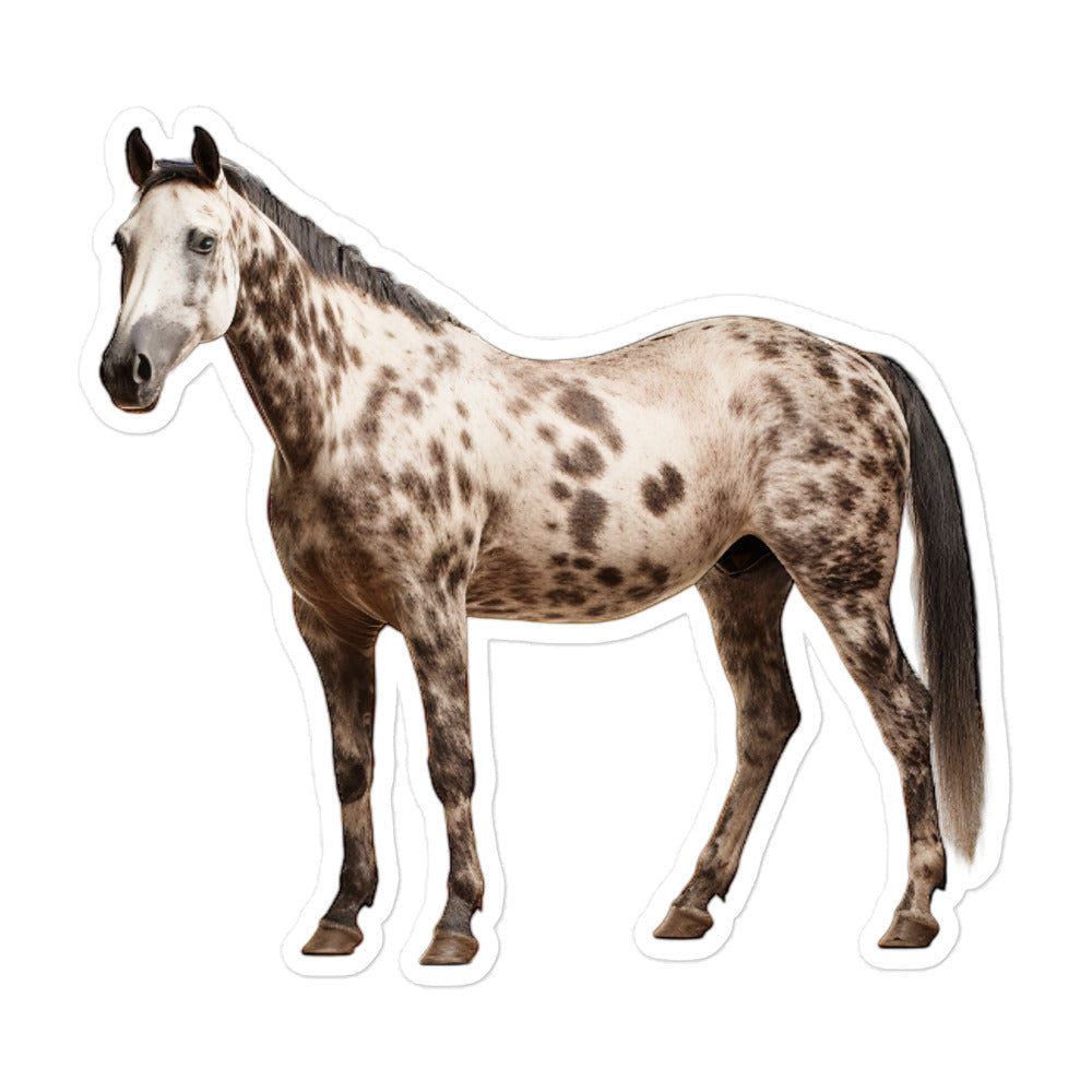 Appaloosa Horse Sticker - Stickerfy.ai