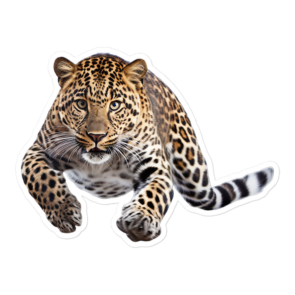 Amur Leopard Sticker - Stickerfy.ai