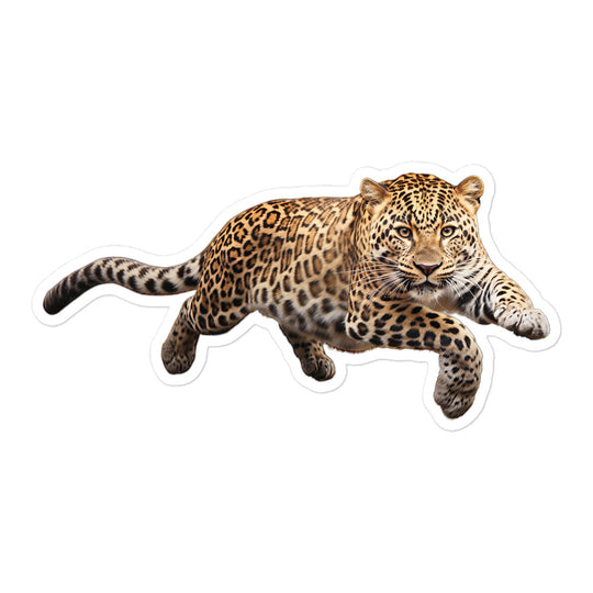 Amur Leopard Sticker - Stickerfy.ai