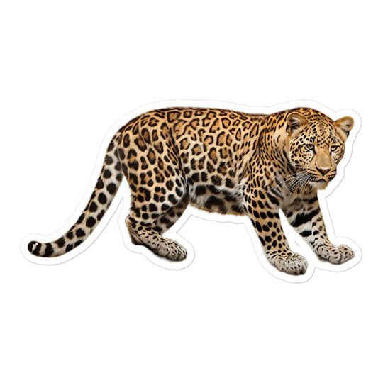 Amur Leopard Sticker - Stickerfy.ai