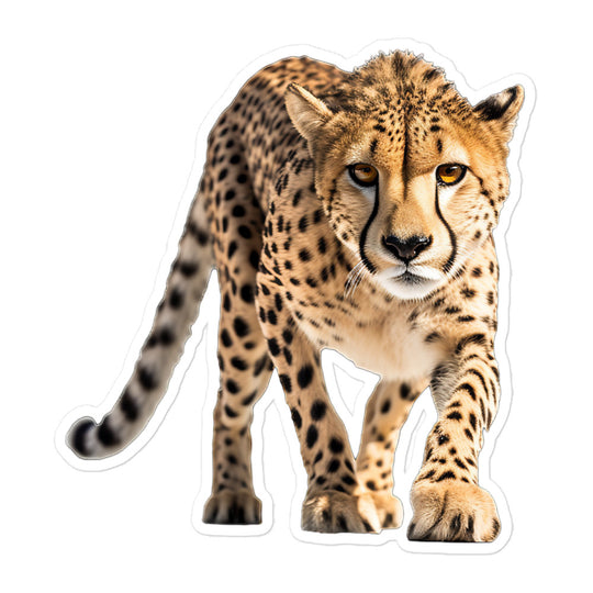 Cheetah Sticker - Stickerfy.ai