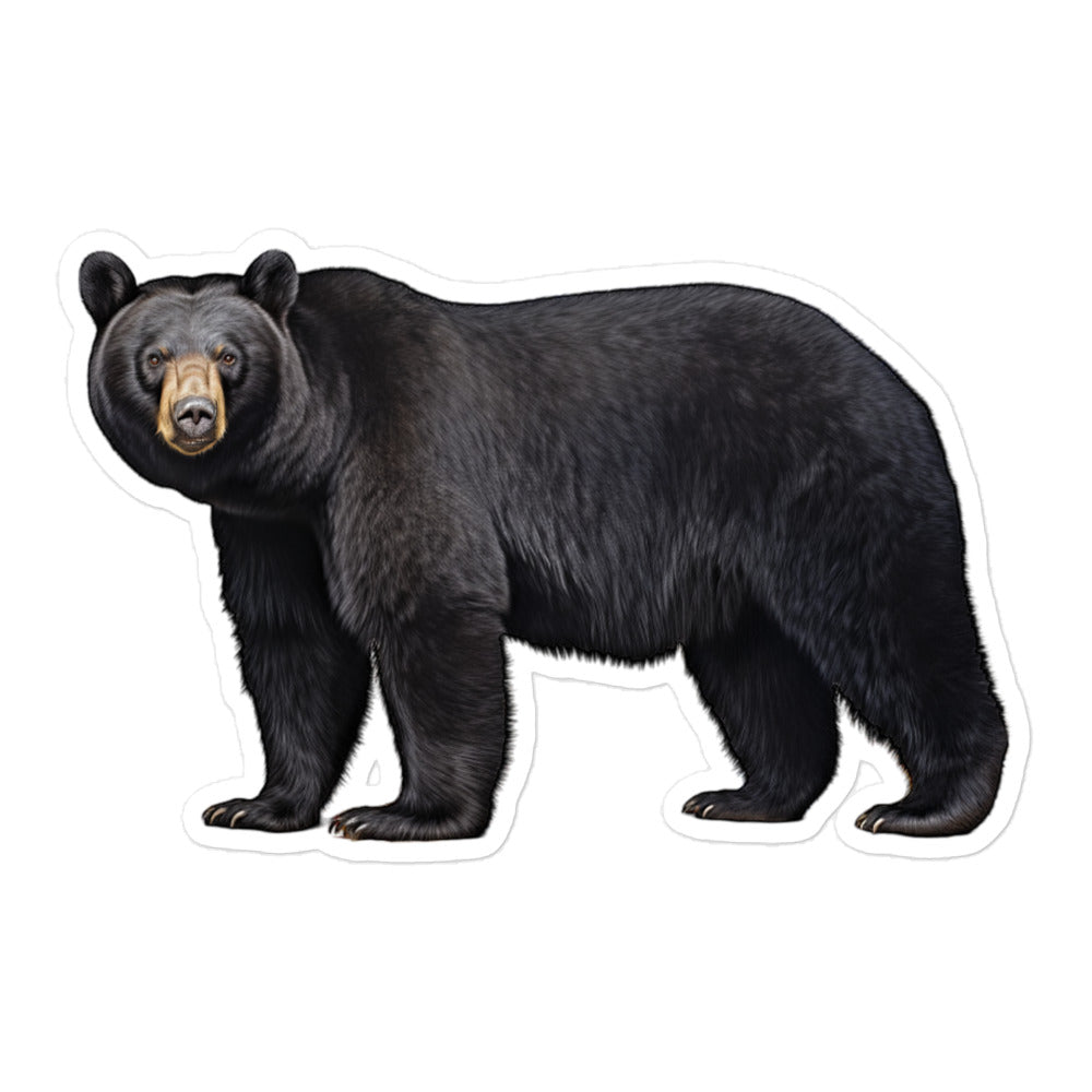 Black Bear Sticker - Stickerfy.ai