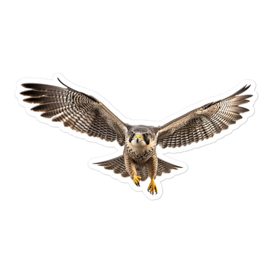 Peregrine Falcon Sticker - Stickerfy.ai