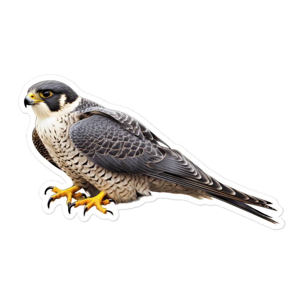 Peregrine Falcon Sticker - Stickerfy.ai