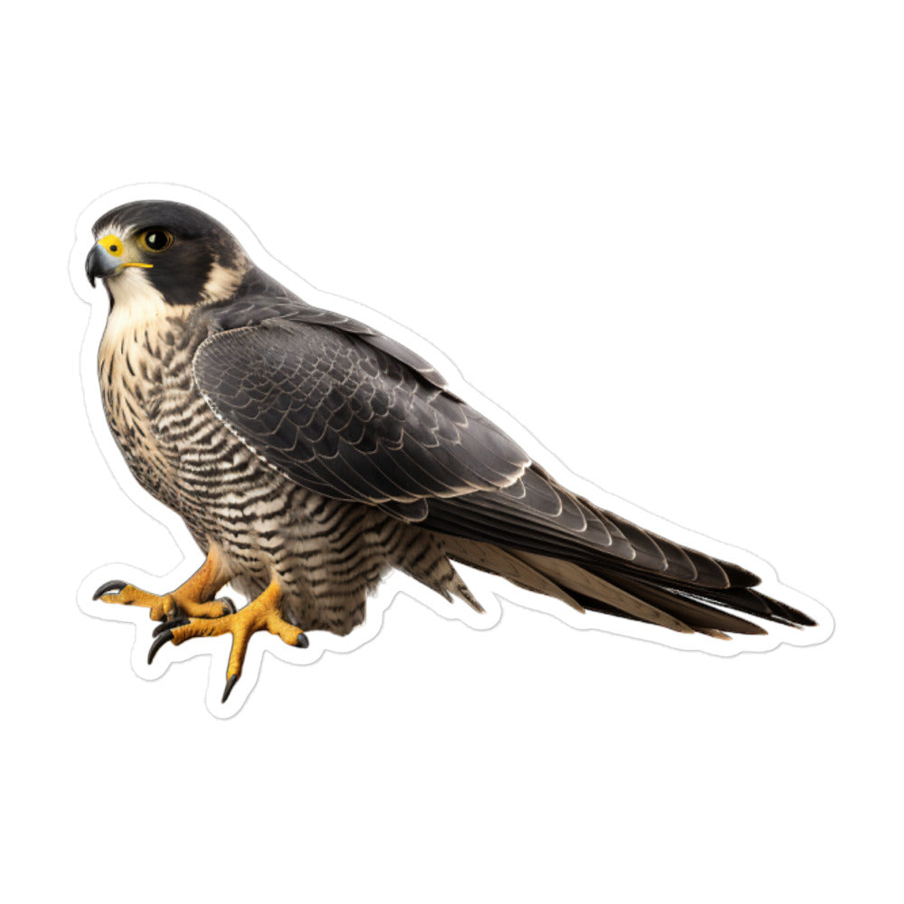 Peregrine Falcon Sticker - Stickerfy.ai