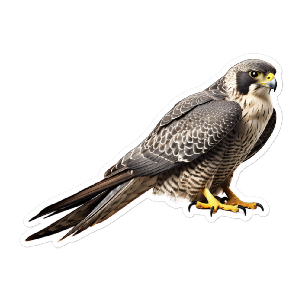 Peregrine Falcon Sticker - Stickerfy.ai