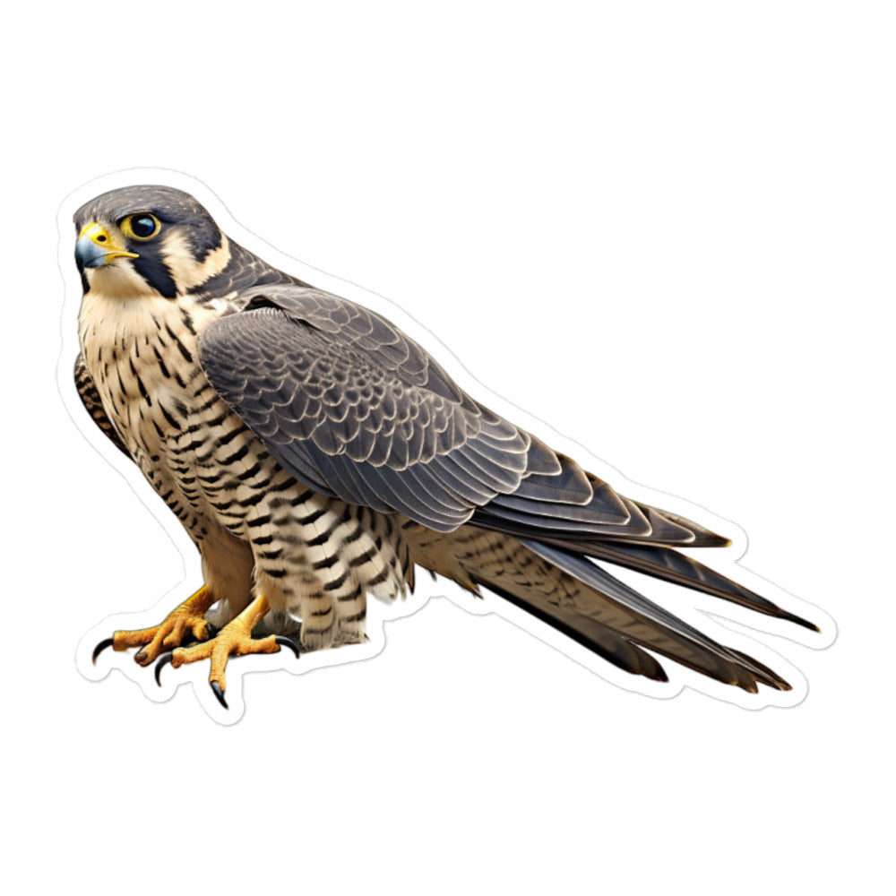 Peregrine Falcon Sticker - Stickerfy.ai