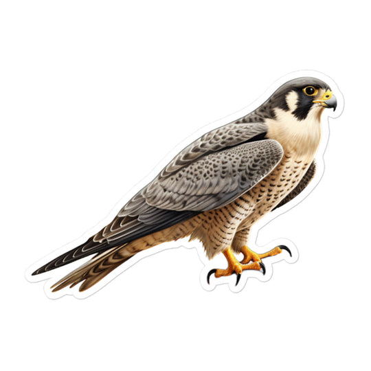 Peregrine Falcon Sticker - Stickerfy.ai