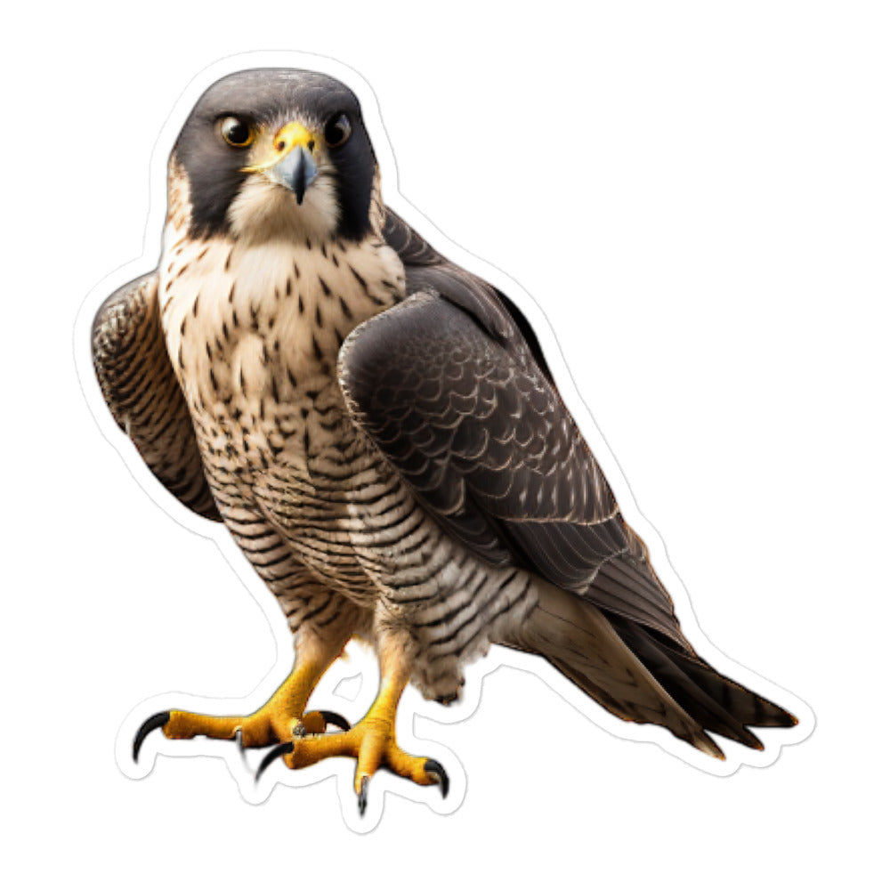 Peregrine Falcon Sticker - Stickerfy.ai