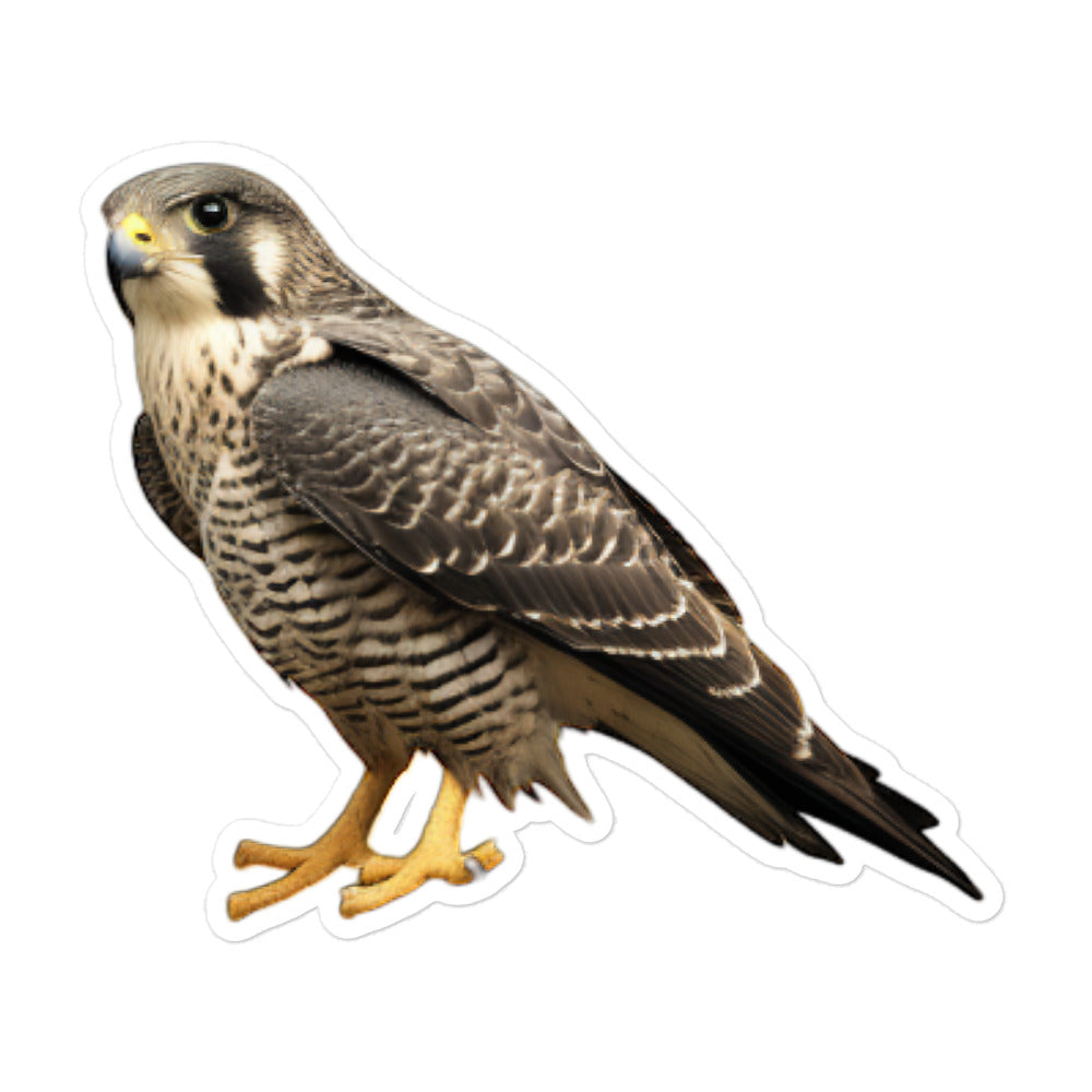 Peregrine Falcon Sticker - Stickerfy.ai