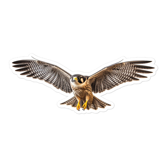 Peregrine Falcon Sticker - Stickerfy.ai