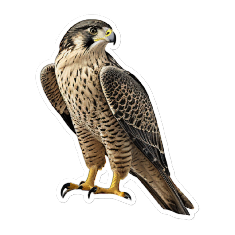 Peregrine Falcon Sticker - Stickerfy.ai