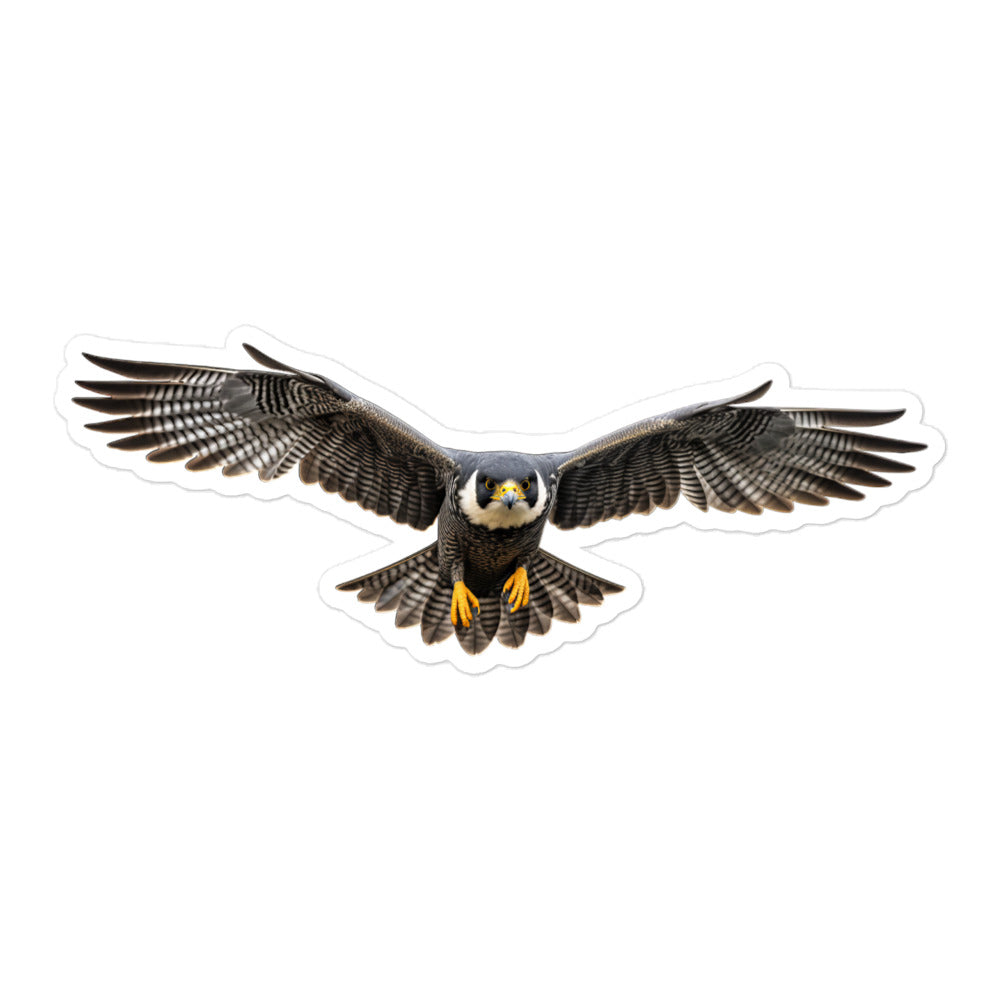 Peregrine Falcon Sticker - Stickerfy.ai