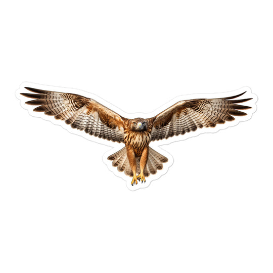 Red Tailed Hawk Sticker - Stickerfy.ai