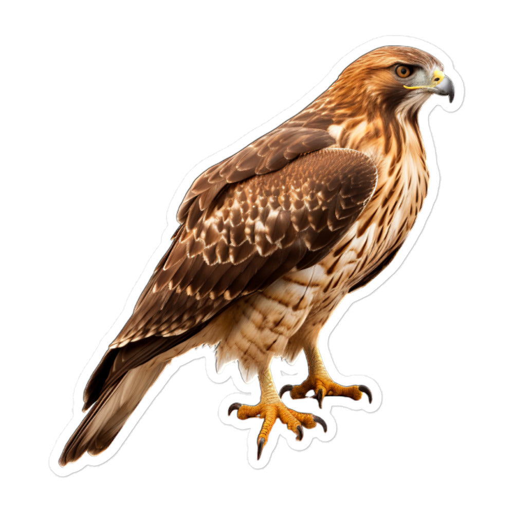 Red Tailed Hawk Sticker - Stickerfy.ai