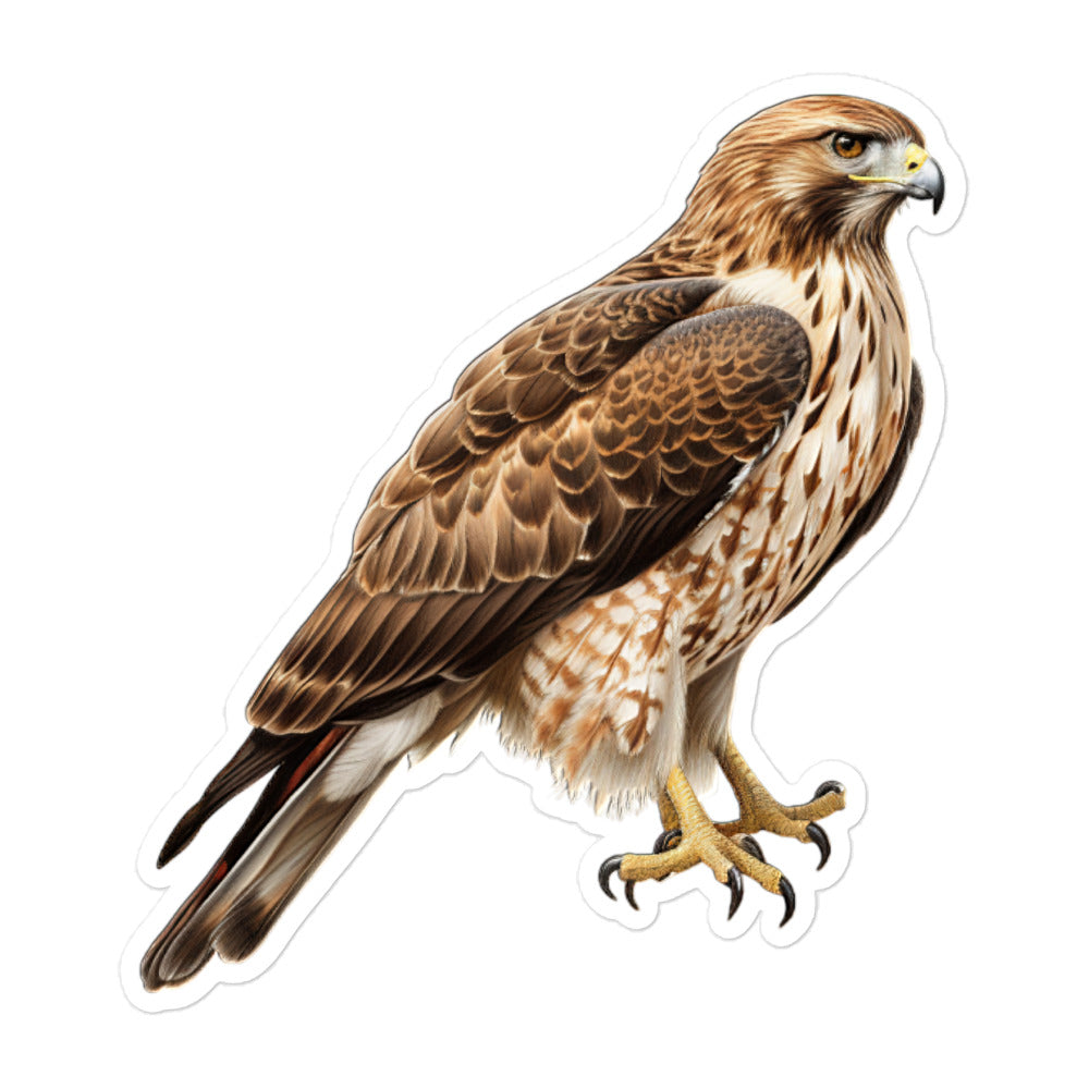 Red Tailed Hawk Sticker - Stickerfy.ai