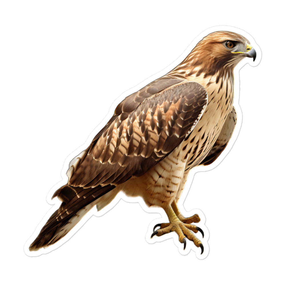 Red Tailed Hawk Sticker - Stickerfy.ai