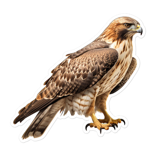 Red Tailed Hawk Sticker - Stickerfy.ai