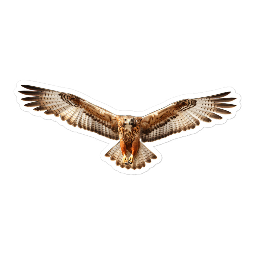 Red Tailed Hawk Sticker - Stickerfy.ai