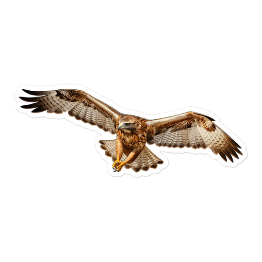 Red Tailed Hawk Sticker - Stickerfy.ai