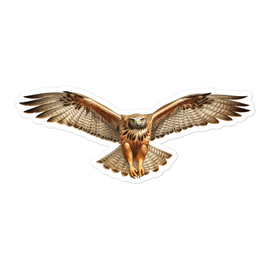 Red Tailed Hawk Sticker - Stickerfy.ai