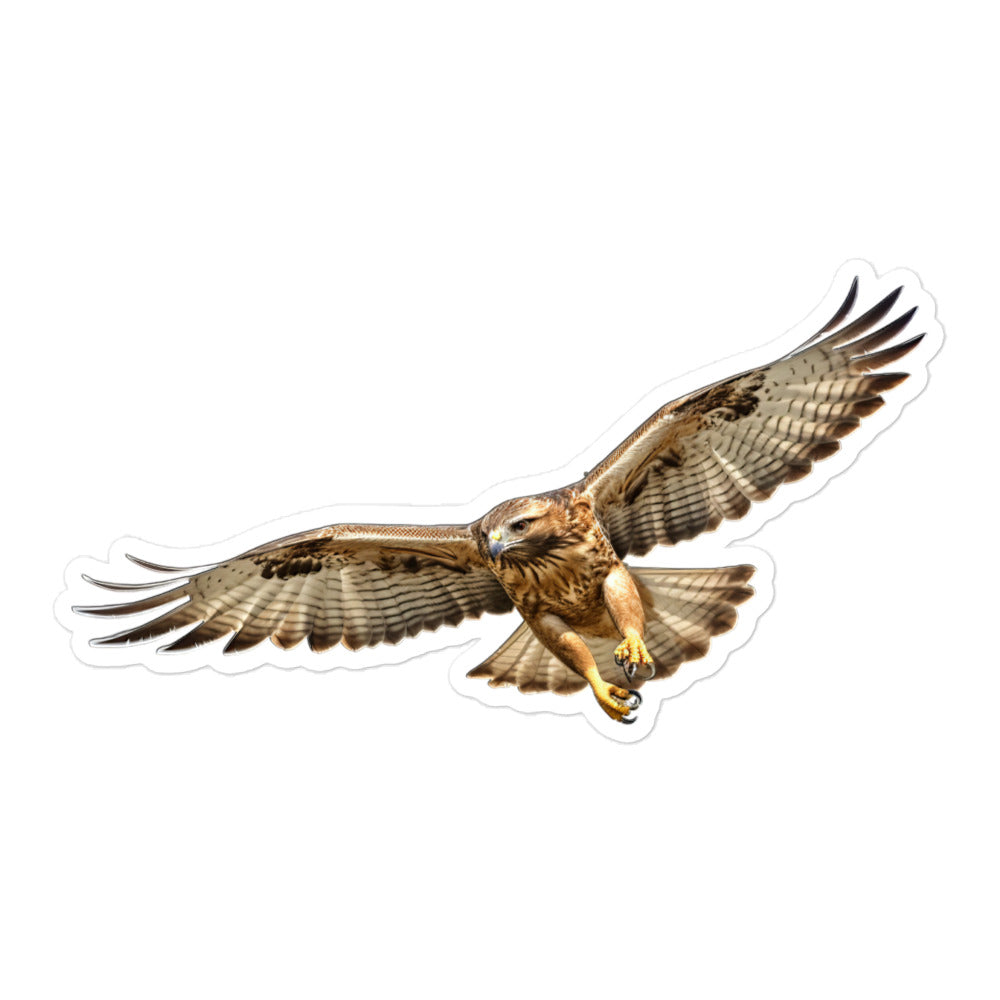 Red Tailed Hawk Sticker - Stickerfy.ai