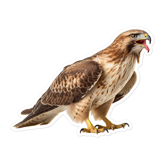 Red Tailed Hawk Sticker - Stickerfy.ai