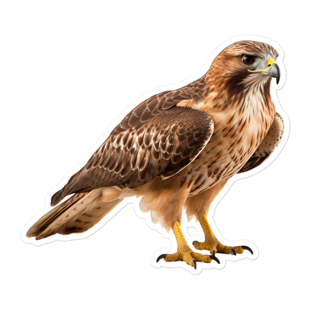 Red Tailed Hawk Sticker - Stickerfy.ai