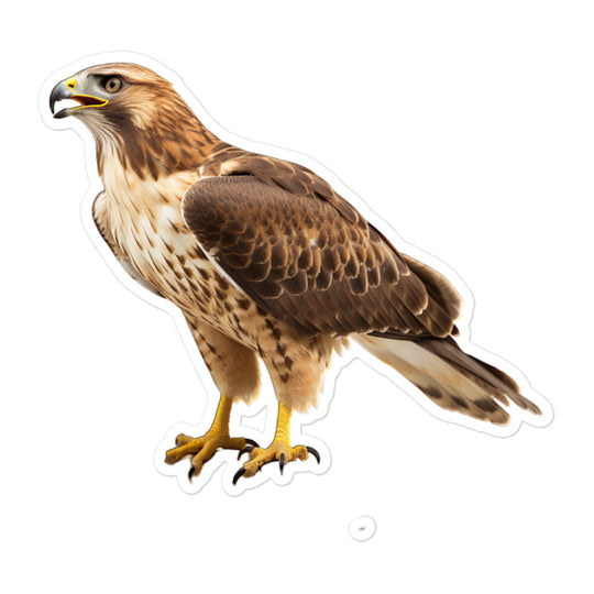 Red Tailed Hawk Sticker - Stickerfy.ai