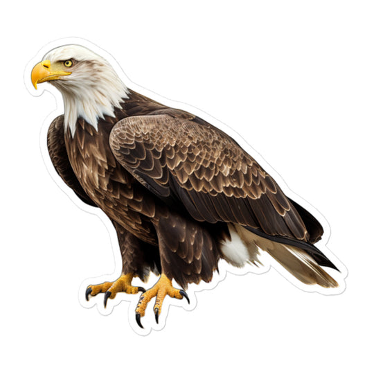 Bald Eagle Sticker - Stickerfy.ai