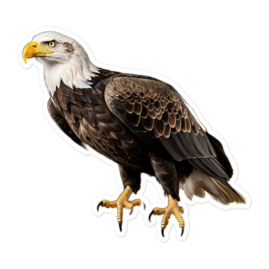 Bald Eagle Sticker - Stickerfy.ai