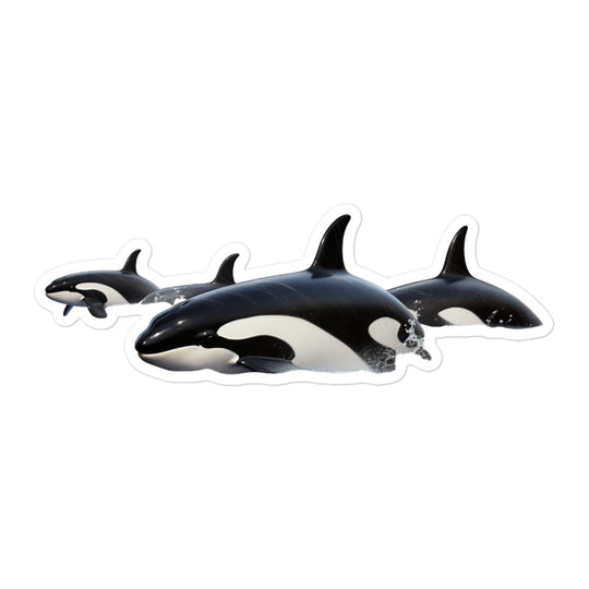 Orcas Sticker - Stickerfy.ai